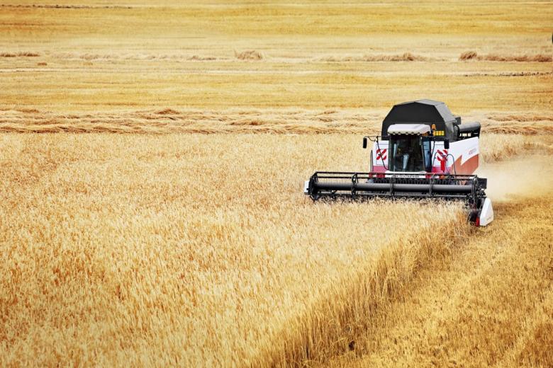 В хозяйстве Тамбовской области рассказали о работе комбайнов Ростсельмаш